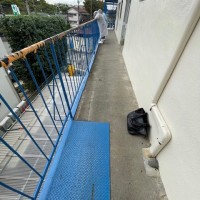 横浜市　青葉区　某工場にて鉄骨補強工事、改修工事のサムネイル